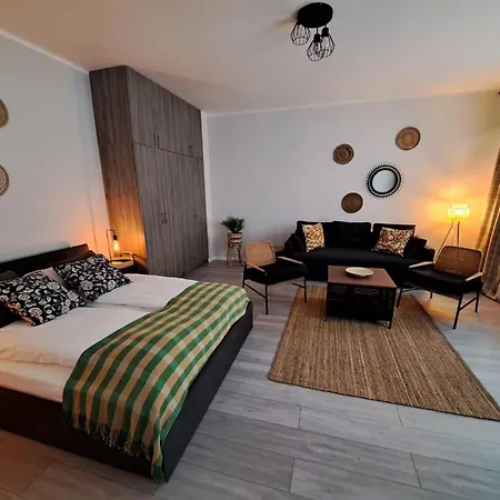 アパート Sleepway Apartment- Strzalowa