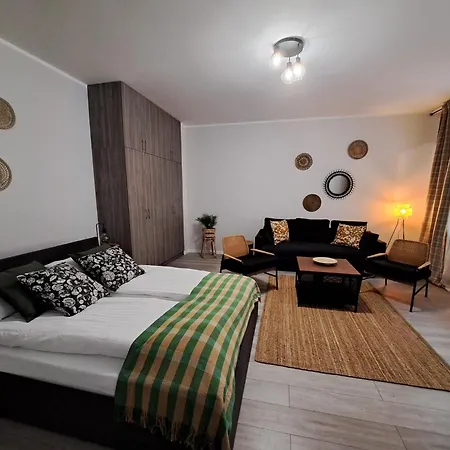 Sleepway Apartment- Strzalowa アパート *